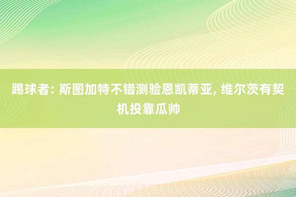 踢球者: 斯图加特不错测验恩凯蒂亚, 维尔茨有契机投靠瓜帅